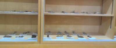 WIN_20251201_14_47_37_Pro